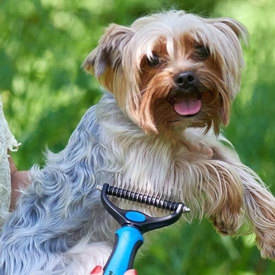 Plastik Saplı Metal Kedi Köpek Bakım Kıtık Tüy Topak Açıcı Tarak