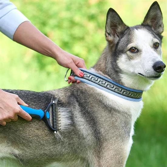 Plastik Saplı Metal Kedi Köpek Bakım Kıtık Tüy Topak Açıcı Tarak