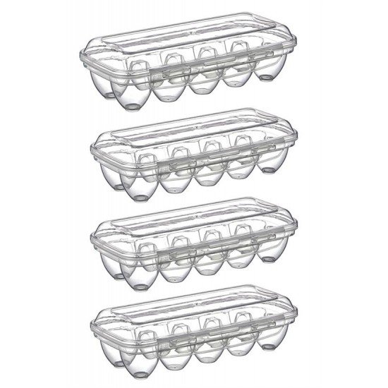 10 Bölmeli Kilitli Kapaklı Yumurtalık Saklama Kutusu YU110