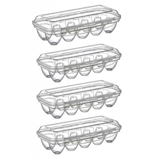 10 Bölmeli Kilitli Kapaklı Yumurtalık Saklama Kutusu YU110